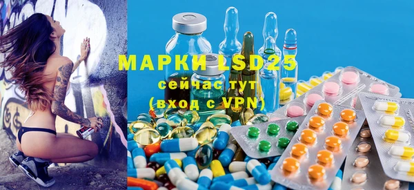 шишки Богданович