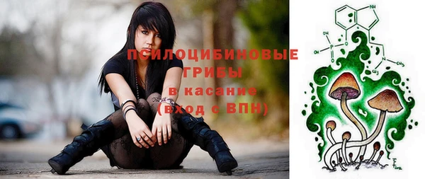 шишки Богданович